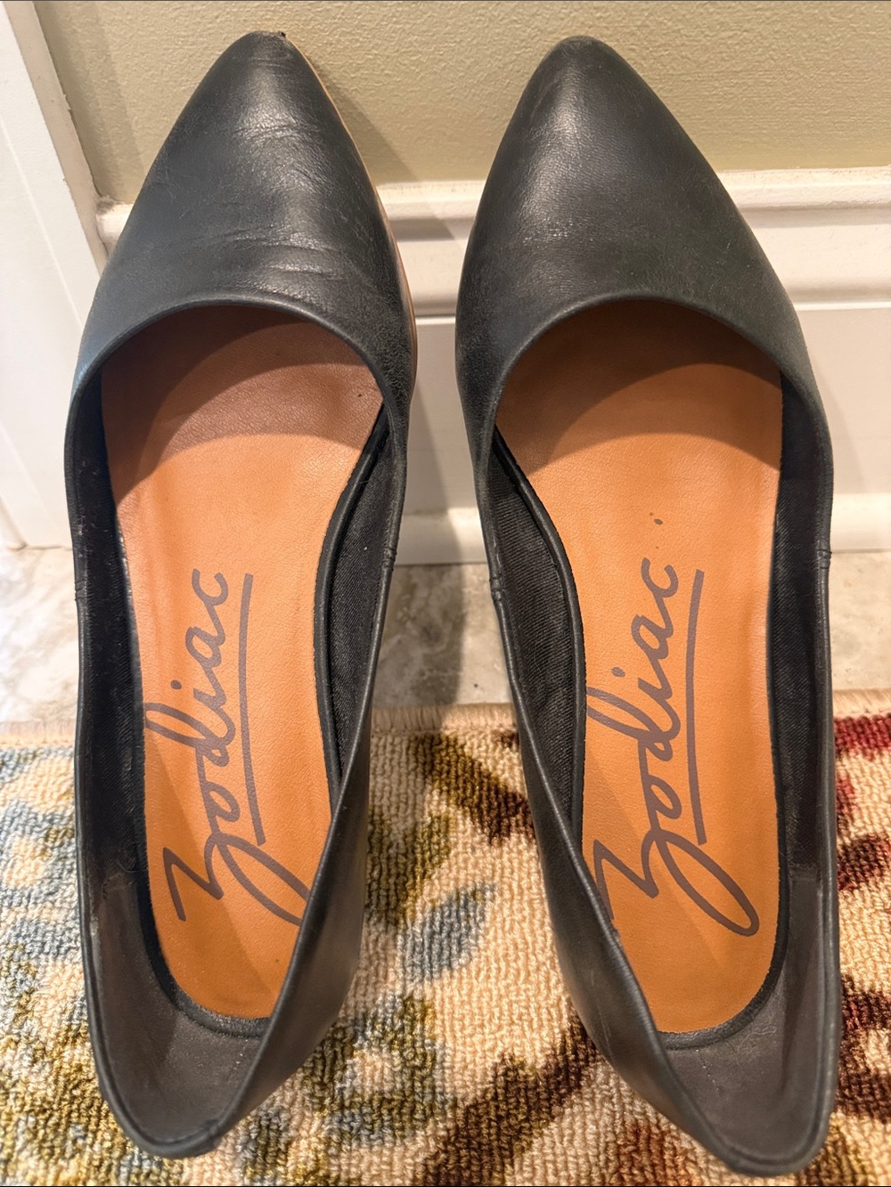 Zodiac Black Pointed Toe Leather Flats for Women
